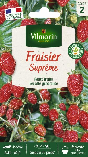 Potagères - Fraisier 4 saisons Suprême - face recto